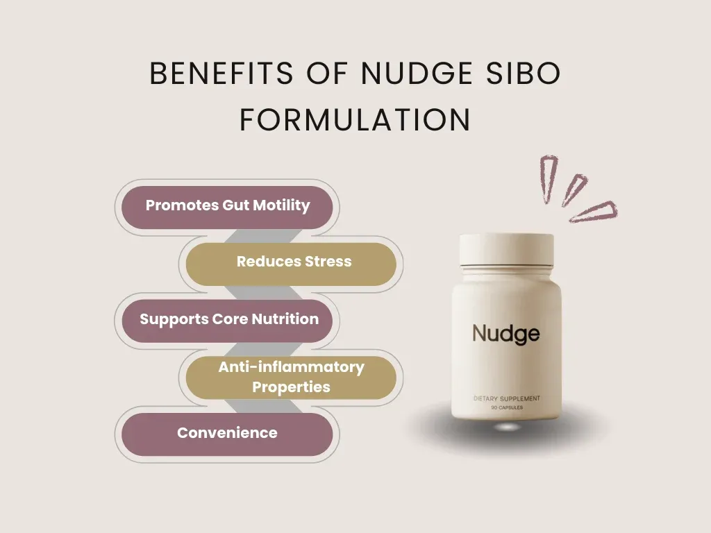 benefits of nudge sibo supplement