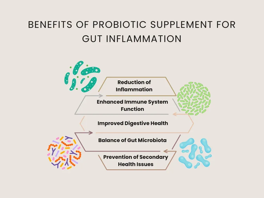 benefits of probiotic supplement for gut inflammation