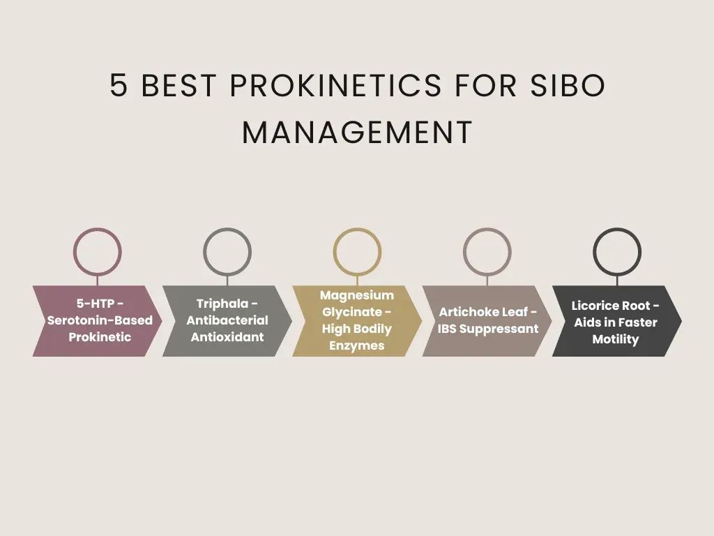 best prokinetics for sibo management