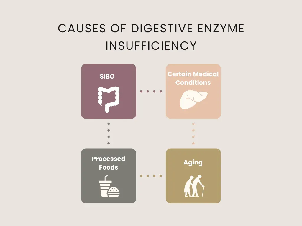 causes of digestive enzymes