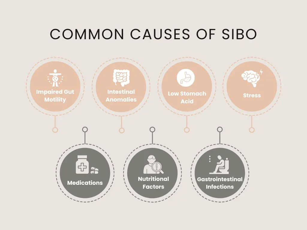 Common causes of SIBO