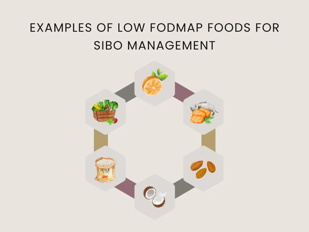 examples of low fodmap foods for sibo management