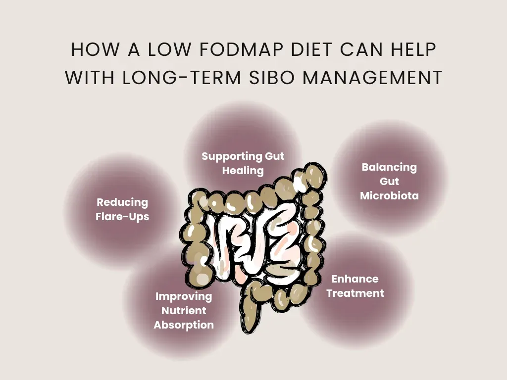 How low FODMAP helps SIBO management