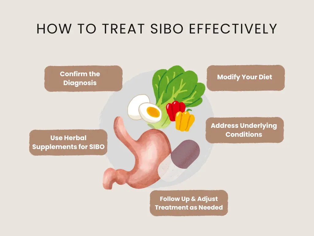 how to treat sibo effectively