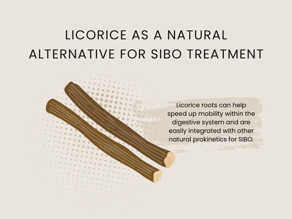 licorice root as natural sibo alternative
