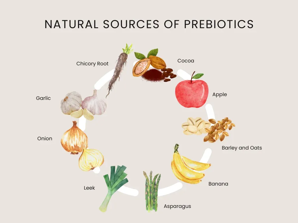 natural sources of prebiotics