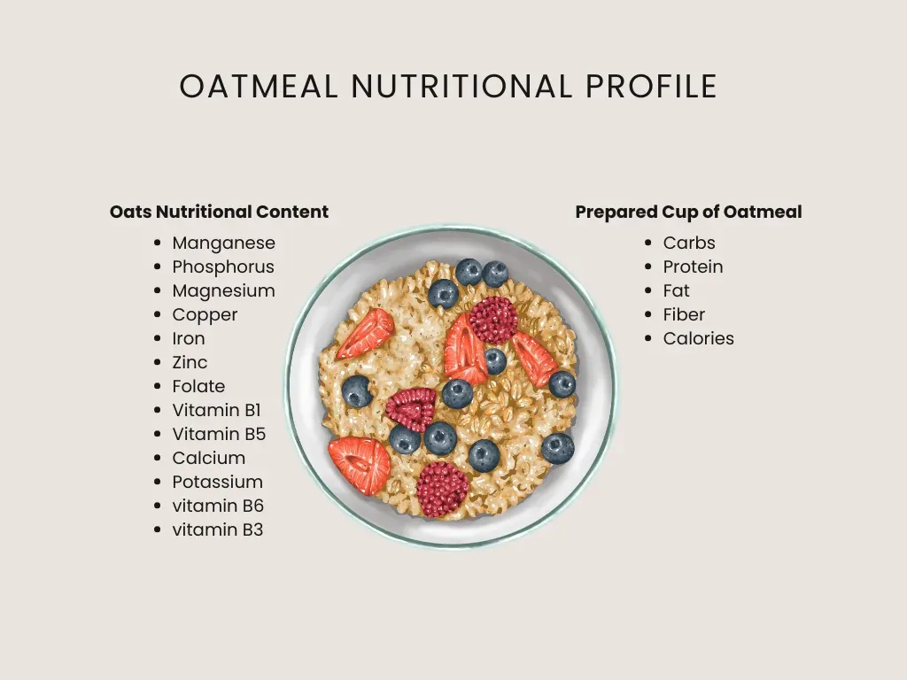 oatmeal nutritional profile