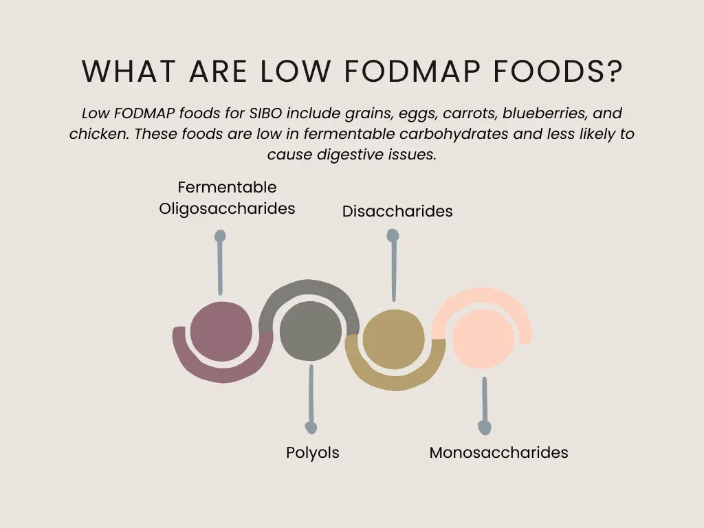 What are low fodmap foods?