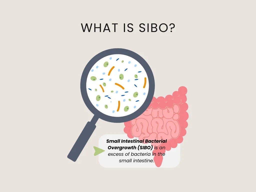 What is SIBO?