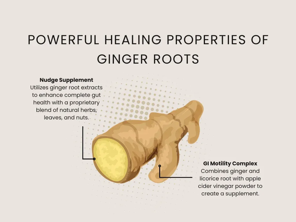 healing properties of ginger roots